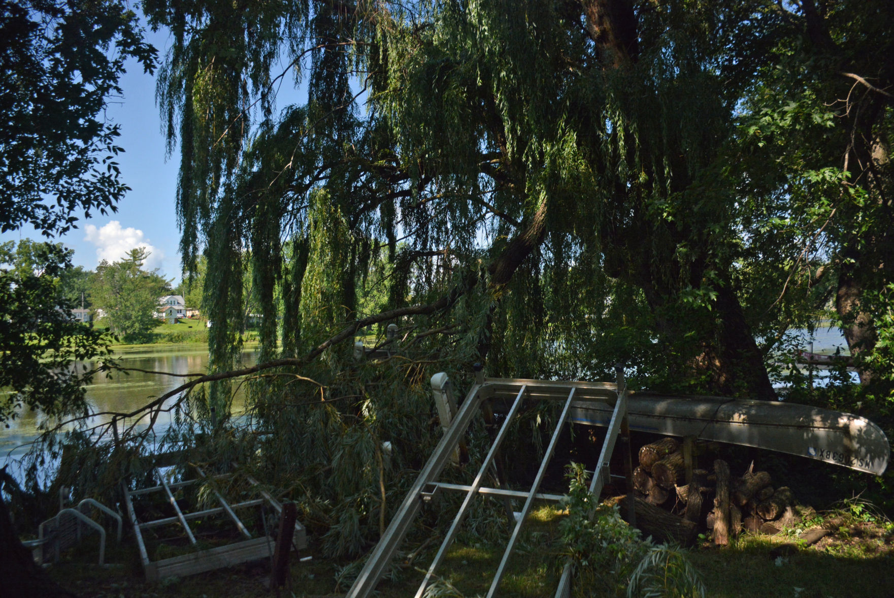 DSC_1310.jpg